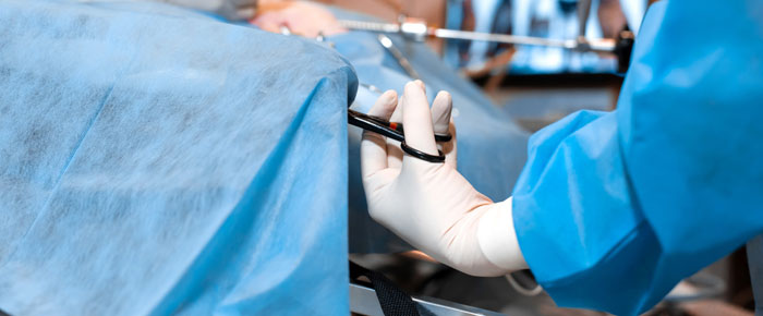ovariectomia tradizionale veterinaria