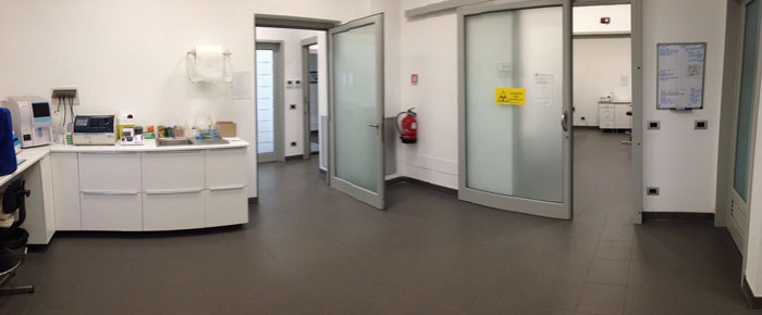 day hospital veterinario