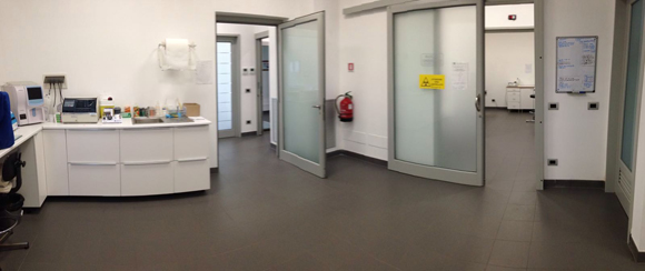 Tirocinio Veterinario